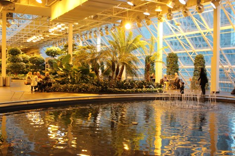 Just some of the palm trees. There are 18 kinds of them here.